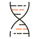 DNA Genetic Testing for Health & Ancestry